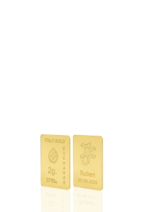 Sztabka Złota Salamandra szczęścia 9kt 2gr - Pomysł na prezent Przynoszące Szczęście  - IGE Gold