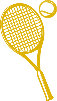Rachetă de Tenis - IGE GOLD